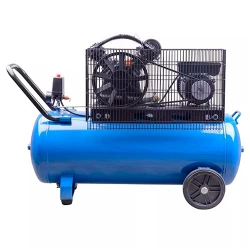 Compresor EnerSol ES-AC310-100-2 flexmag.md