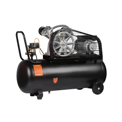 Компрессор Kamoto AC30100 flexmag.md
