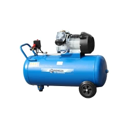 Компрессор Remeza СБ4-С-100.J2047B flexmag.md