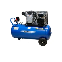 Compresor Remeza СБ4-С-100LB24 flexmag.md