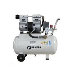 Компрессор Remeza СБ4-С-24.OLD10 flexmag.md