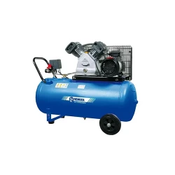 Компрессор Remeza СБ4-С-50.LB24 (760330) flexmag.md