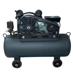 Compresor Vector+ 2200W 100L flexmag.md