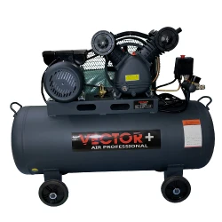 Compresor Vector+ 2200W 100L flexmag.md