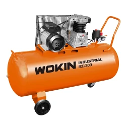 Compresor Wokin 831303 flexmag.md