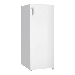 Congelator Hisense RS-22DC flexmag.md