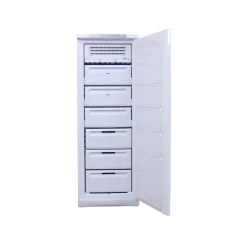 Congelator Indesit SFR167NF.002 flexmag.md