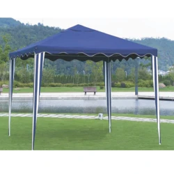 Cort Waltz Isola G1015 flexmag.md