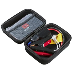 Устройство пуска Fubag DRIVE 300 (31459) flexmag.md