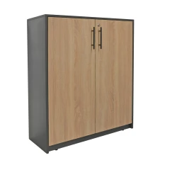 Dulap pentru birou Deco 2 usi flexmag.md