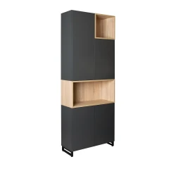 Офисный шкаф Deco EvoCab 800x342x2209H flexmag.md