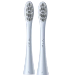 Насадка для электрической зубной щетки Oclean P1C9, серебристая flexmag.md