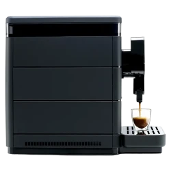 Автоматическая кофеварка Saeco Royal, черный flexmag.md