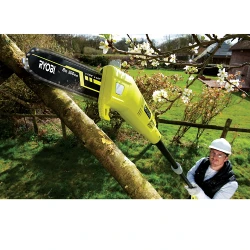 Ferastrau electric telescopic pentru crengi Ryobi RPP750S flexmag.md