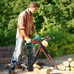 Пила электрическая Bosch AKE 40 S flexmag.md