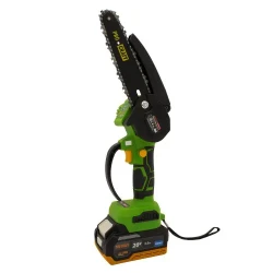 Fierastrau electric pe acumulator Procraft PKA22Li (1 acumulator) flexmag.md