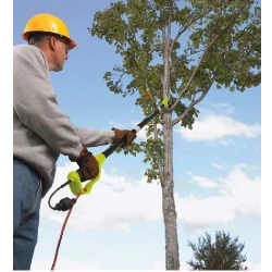 Пила телескопическая Ryobi RPP755E flexmag.md