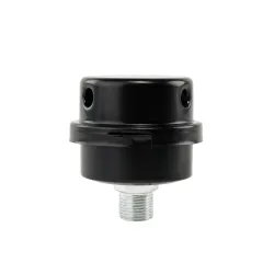 Воздушный фильтр для компрессора Rotor SOC11, 3/8 flexmag.md