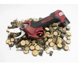 Foarfece de gradina cu acumulator Raider RD-PSH01 flexmag.md