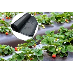 Folie neagra pentru mulcire 30 mcr, 1x400 m, clasa 2 flexmag.md