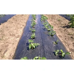 Folie neagra pentru mulcire 30 mcr, 1x400 m, clasa 2 flexmag.md