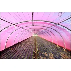 Folie roz anti UV+AB+LD+EVA 120 mcr, 6x50 m flexmag.md