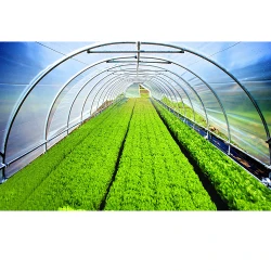 Folie verde anti UV 120 mcr 10x35 m flexmag.md