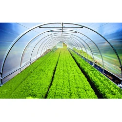 Folie verde anti UV 150mcr. H-6m, L-45m flexmag.md