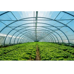 Folie verde anti UV+AB+LD 150 mcr, 10x30 m flexmag.md