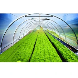 Folie verde UV+AB+LD 120 mcr 12x30 m flexmag.md