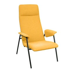 Декоративное кресло WXS-040 S Горчичное flexmag.md