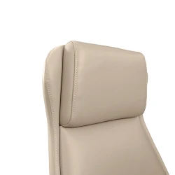 Офисное кресло Deco Aeron Camel flexmag.md