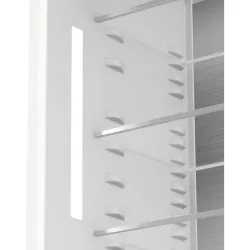 Frigider Hisense RB3B370SAWD1 Alb flexmag.md