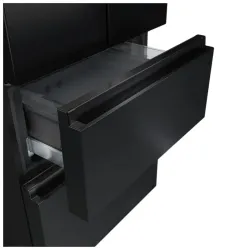 Frigider Hisense RF5S454GSFE Negru flexmag.md