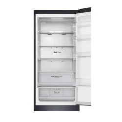 Frigider LG GA-B509CBTL flexmag.md