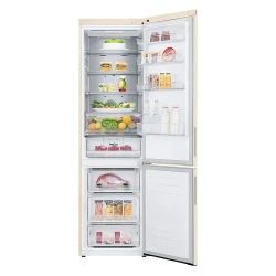 Frigider LG GA-B509CEQM flexmag.md