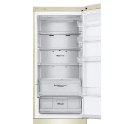 Frigider LG GA-B509CETL flexmag.md