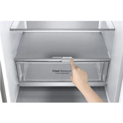 Frigider LG GA-B509MCUM flexmag.md