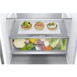 Frigider LG GA-B509MCUM flexmag.md