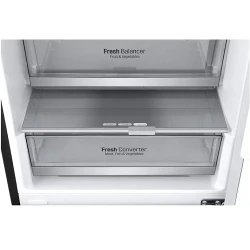 Frigider LG GA-B509PBAM flexmag.md