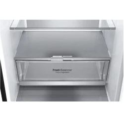 Frigider LG GA-B509SBUM flexmag.md