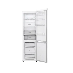 Frigider LG GA-B509SVDZ  flexmag.md