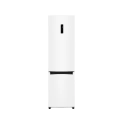 Frigider LG GA-B509SVDZ  flexmag.md