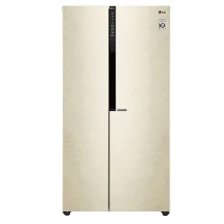 Frigider LG GC-B247JEDV flexmag.md