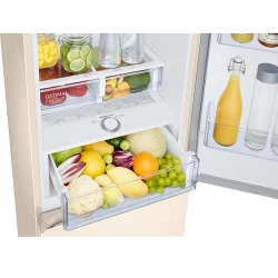 Холодильник Samsung RB36T674FEL-UA flexmag.md