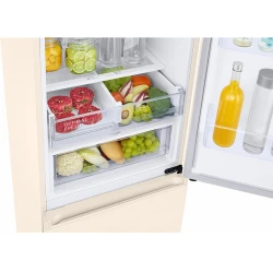 Frigider Samsung RB38T676FEL-UA flexmag.md