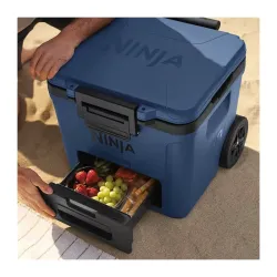 Geanta frigorifica Ninja FB230EUGY FrostVault Gri flexmag.md