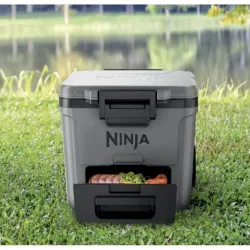 Geanta frigorifica Ninja FB230EUGY FrostVault Gri flexmag.md