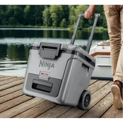 Geanta frigorifica Ninja FB230EUGY FrostVault Gri flexmag.md