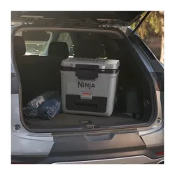 Geanta frigorifica Ninja FB230EUGY FrostVault Gri flexmag.md